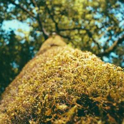 Honeymoon Spots Tour Package 2